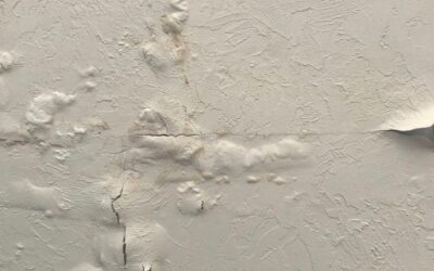 Keeping Your Miami Home Safe: How To Detect And Prevent Drywall Water Damage